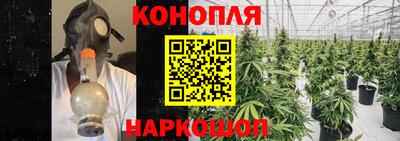 дмт Бузулук