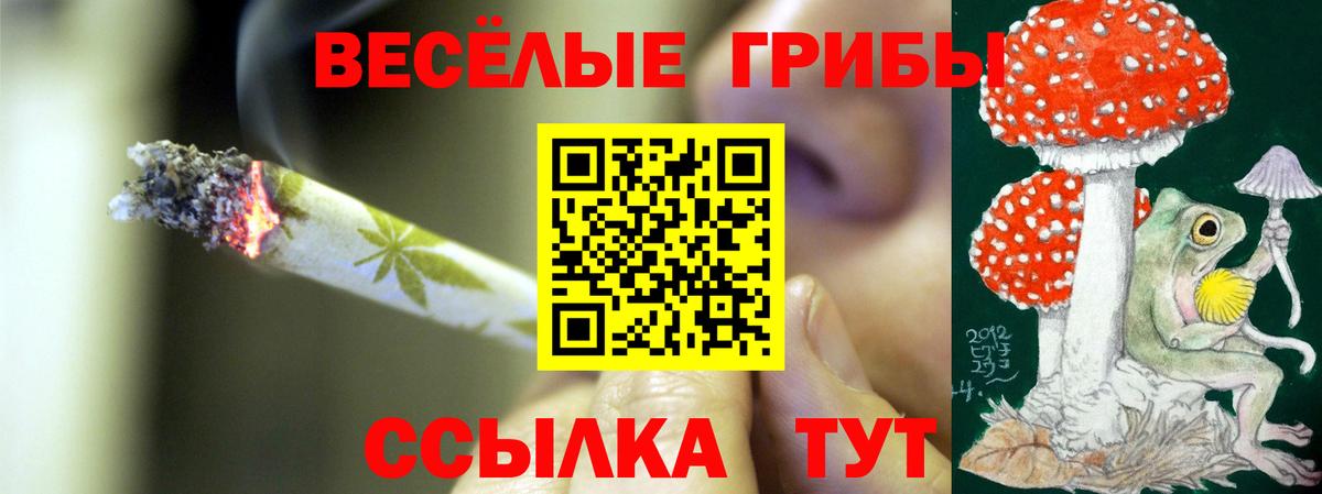 Галлюциногенные грибы Psilocybine cubensis  Вход с VPN  Прокопьевск 